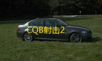CQB射击2